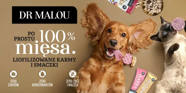 DR MALOU freeze-dried 100% meat pet food: a happy dog and cat with natural treats on a brown background.