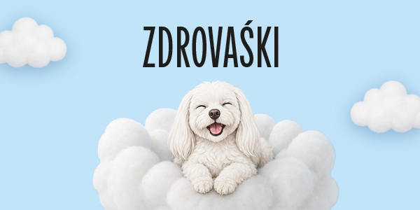 White fluffy dog smiling happily in soft clouds on a light blue background, with the text ZDRAVÁŠKI.