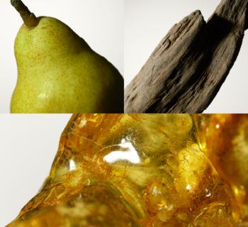 PROfiller+ odżywka: zielona gruszka, suche drewno, zbliżenie na bursztyn. Naturalna inspiracja dla włosów.