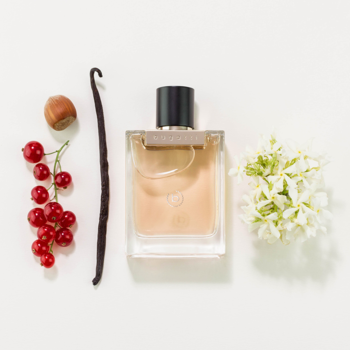 Bugatti Bella Donna GOLD perfumy w szklanym flakonie, z nutami: czerwona porzeczka, wanilia, orzech, jaśmin. Widok z góry.