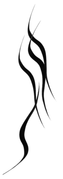 Abstract black, flowing lines on a white background, resembling smoke or stylized long eyeliner strokes.