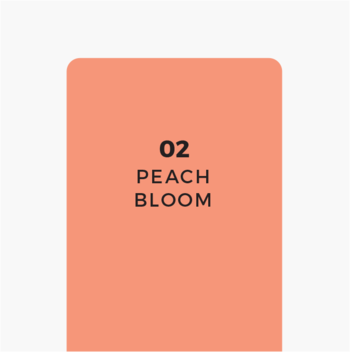 Karta odcienia różu w sztyfcie AA Wings of Color Design IT, 02 Peach Bloom, brzoskwiniowa z czarnym napisem.