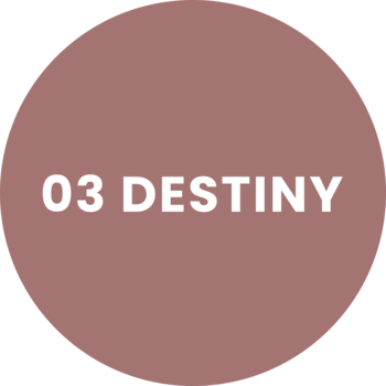Różowa etykieta matowej konturówki do ust Written In The Stars 03 Destiny, z białym napisem "03 DESTINY".