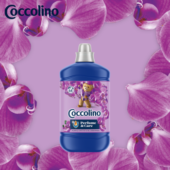Ciemnofioletowa butelka płynu Coccolino Perfume & Care Purple Orchid & Blueberries, na tle fioletowych orchidei.