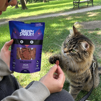 Osoba oferuje kotu miękki przysmak Happy Snacky Clouds z kaczki, trzymając otwartą fioletową paczkę w parku.