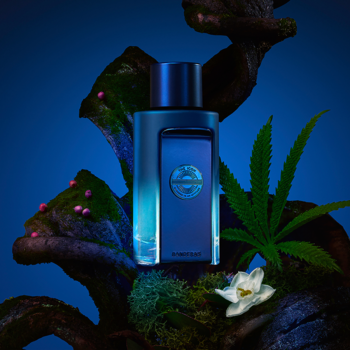 The Icon Supreme EDP, niebieska metalowa butelka męskich perfum z konopią, na tle liścia konopi.