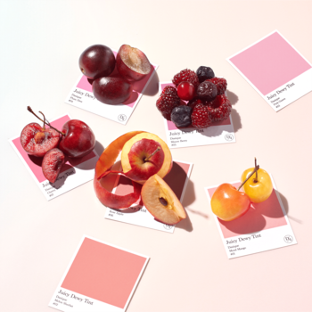 Świeże owoce (wiśnie, jabłka, jagody) otoczone różowymi próbkami koloru Pantone "Juicy Dewy Tint" na jasnym tle.