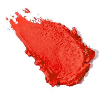Zbliżenie na gęsty, pomarańczowo-czerwony róż Knead It! z widoczną kremową, sprężystą teksturą.