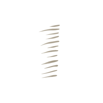 Swatch e.l.f. Holy Strokes pisak do brwi, odcień Neutral Brown. Precyzyjne, cienkie kreski imitujące włoski.