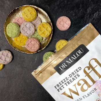 Liofilizowane wafle Dr Malou dla kota, mix pastelowych smaków na złotej misce, obok oryginalne opakowanie.