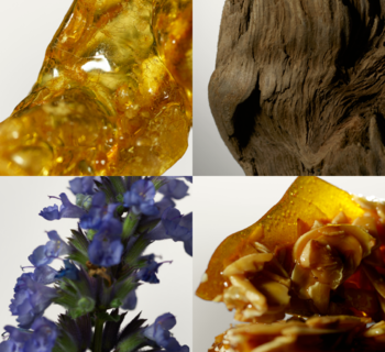 Kolaż bursztynu, drewna i fioletowych kwiatów dla odżywki John Frieda Miraculous Recovery włosów suchych.