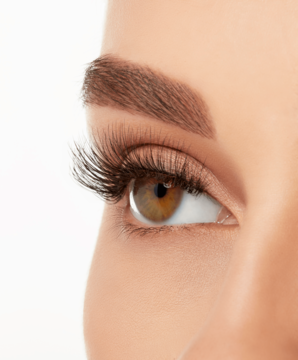 Ardell Naked sztuczne rzęsy na pasku, zbliżenie na brązowe oko, długie, gęste rzęsy, widok z profilu.