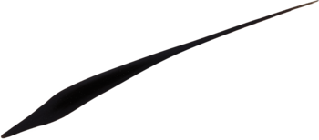 L'Oréal Perfect Slim czarny eyeliner, zbliżenie na cienki aplikator 0,4 mm do precyzyjnej kreski.