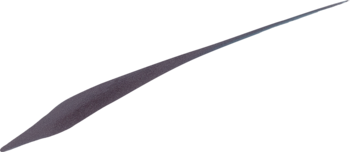 Ujęcie szarej, bardzo cienkiej kreski eyelinera L'Oréal Perfect Slim, wykonanej precyzyjnym aplikatorem 0,4 mm.