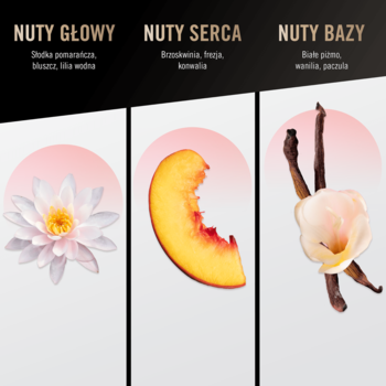 Woda perfumowana bruno banani: infografika z lilią wodną (nuta głowy), brzoskwinią (nuta serca) i wanilią (nuta bazy).