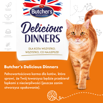 Reklama karmy dla kotów Butcher's Delicious Dinners z rudym kotem po prawej i logo na pomarańczowo-białym tle.