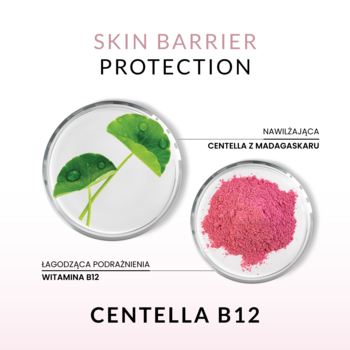 Infografika Centella B12 AA LAAB: zielone liście wąkrotki i różowy proszek B12, dla ochrony bariery skóry.