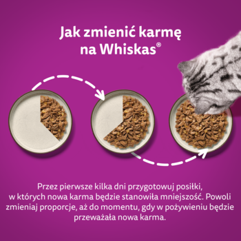 Instrukcja Whiskas: trzy miski karmy dla kota na purpurowym tle, pokazujące stopniową zmianę diety.