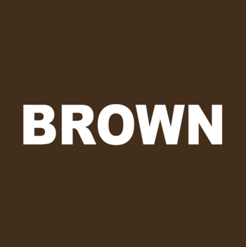 Kwadratowa próbka intensywnego brązowego koloru wegańskiego eyelinera Variété z białym napisem "BROWN".