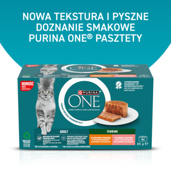 Karton Purina ONE Adult Terrine mokra karma dla kotów, widok z przodu, z kotem i pasztetem na tealowym opakowaniu.