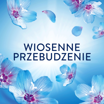Promocyjna grafika Lenor Spring Awakening: błękitne kwiaty, promienny blask i biały napis "WIOSENNE PRZEBUDZENIE".