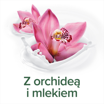 Grafika Palmolive: różowe kwiaty orchidei otoczone białym mlekiem, napis 'Z orchideą i mlekiem'.