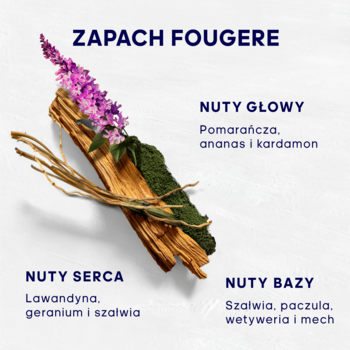 Wizualizacja nut zapachowych fougère dla wody toaletowej Adidas: drewno, mech, fioletowe kwiaty. Nuty głowy, serca i bazy.