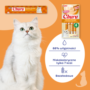 Biały kot spoglądający na opakowania Churu Chicken Recipe, mokrego przysmaku o 7 kcal, bez zbóż, pomarańczowe tło.