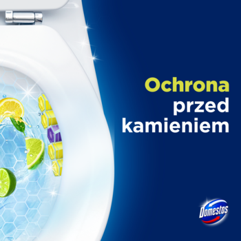 Kostka toaletowa Domestos Power 5 Lime. W toalecie kolorowe bloki, cytrusy. Napis: Ochrona przed kamieniem.