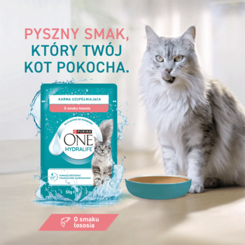 Srebrny kot lizażący pysk, obok zielonej miski i opakowania PURINA® ONE® HYDRALIFE™ łosoś, wspierająca nawodnienie.