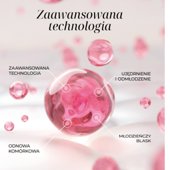 Infografika serum rewitalizującego z różowymi kroplami, technologią PDRN, Adenozyną, jędrnością i blaskiem.
