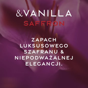Promocyjna grafika &Vanilla Saffron: białe i czerwone napisy na tle rozmytych fioletowych kwiatów szafranu.