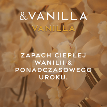 &Vanilla Vanilla EDP, reklama. Napis o zapachu ciepłej wanilii na tle rozmytych, kremowych kwiatów.