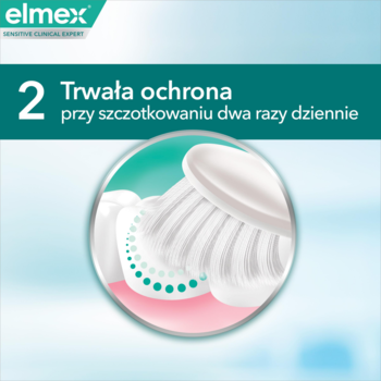 Grafika Elmex: szczoteczka czyści wrażliwy ząb, symbolizując trwałą ochronę przy szczotkowaniu dwa razy dziennie.