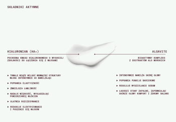 Schemat składników szamponu Heiki Heiki: Hialuronian i Algavite z opisem właściwości nawilżających.