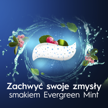 Konceptualna grafika pasty Oral-B o smaku Evergreen Mint z miętą, jagodami i wodnymi plamami.