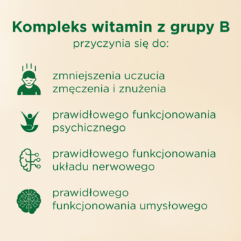 Infografika Möllers B-complex Forte: witaminy B redukują zmęczenie, wspierają układ nerwowy i funkcje umysłowe.