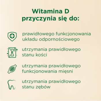 Grafika MÖLLERS Witamina D3: korzyści dla odporności, kości, mięśni i zębów, z zielonym tłem i ikonami.