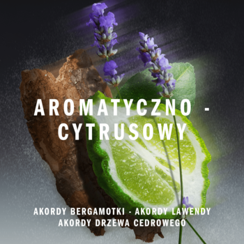 ADIDAS MAX-DRY FRESH. Kora, fioletowa lawenda i plaster bergamotki na ciemnym tle. Napis: AROMATYCZNO-CYTRUSOWY.