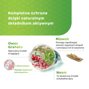 Infografika naturalnych składników pasty Himalaya Complete Care: granat, miswak i neem dla zdrowych dziąseł.