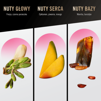 Grafika: Woda toaletowa bruno banani Pure Woman, nuty zapachowe z frezją, porzeczką, mango i bursztynem.