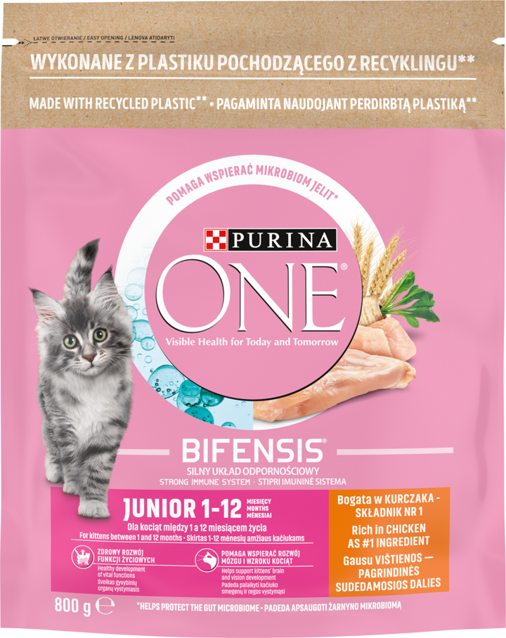 PURINA ONE, Junior 1-12, karma pełnoporcjowa sucha dla kociąt z kurczakiem, 800 g
