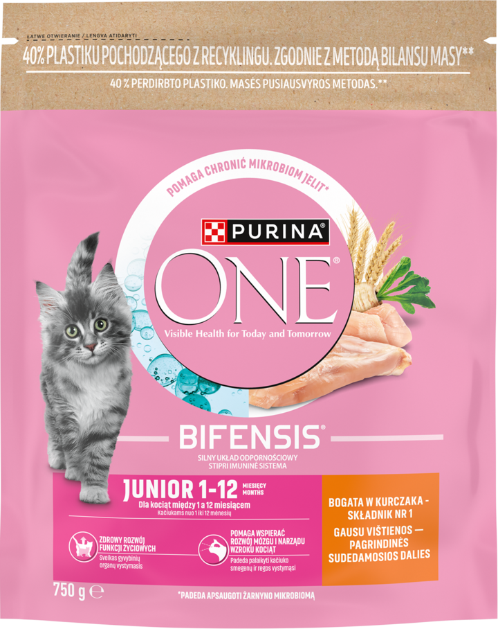 PURINA ONE, Junior 1-12, karma pełnoporcjowa sucha dla kociąt, Bogata w Kurczaka, 800 g
