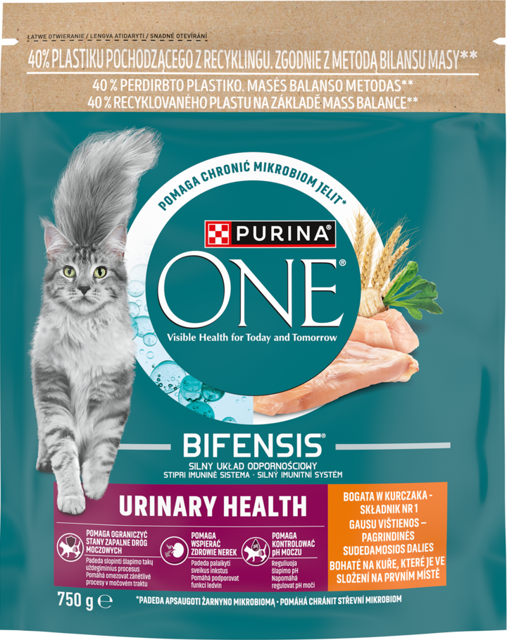 PURINA ONE, Urinary Health, karma pełnoporcjowa sucha dla dorosłych kotów, Bogata w Kurczaka, 800 g