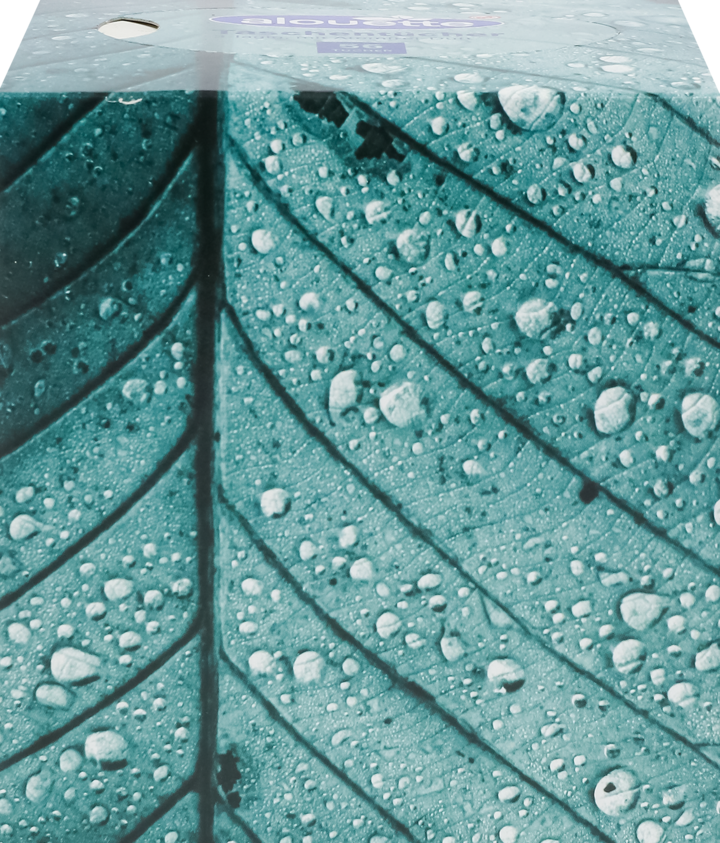 ALOUETTE, chusteczki higieniczne, 3-warstwowe z zapachem, różne rodzaje, 56 szt.