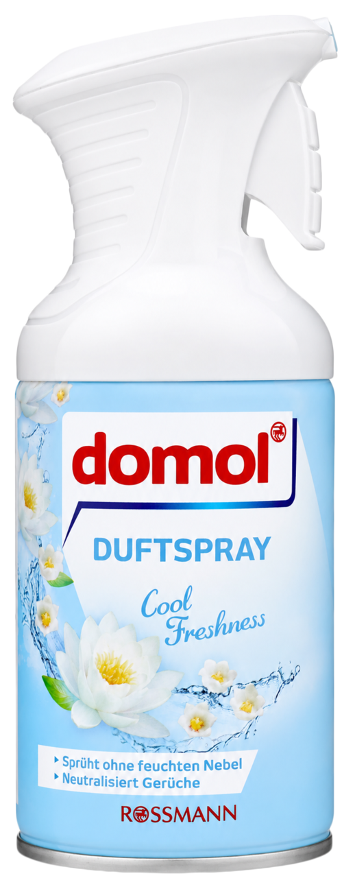 DOMOL, odświeżacz powietrza w aerozolu, Cool Freshness, 250 ml