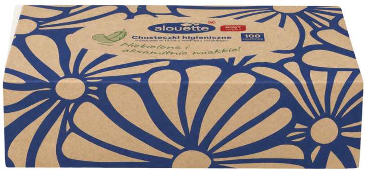 ALOUETTE, Recycling, chusteczki higieniczne, z recyklingu, 4-warstwowe, różne rodzaje, 100 szt.
