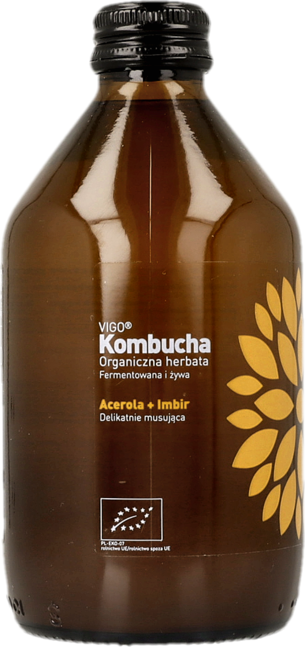 VIGO KOMBUCHA, organiczna herbata, delikatnie musująca, acerola + imbir, 330 ml