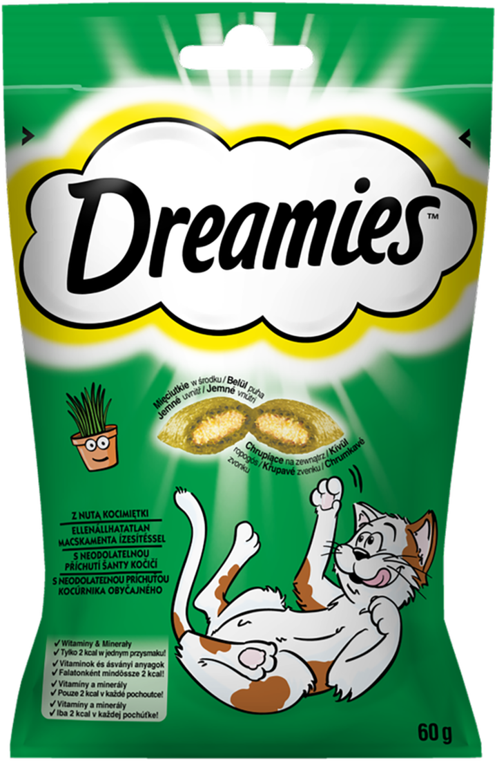 DREAMIES, karma uzupełniająca dla dorosłych kotów, z kocimiętką, 60 g