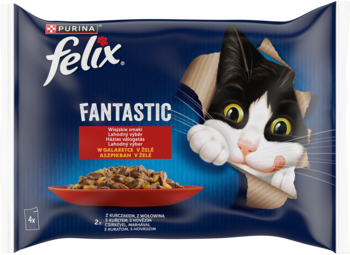 Niebieska saszetka karmy Felix Fantastic dla kota, czarno-biały kot wychyla się z opakowania, obok miska z jedzeniem.